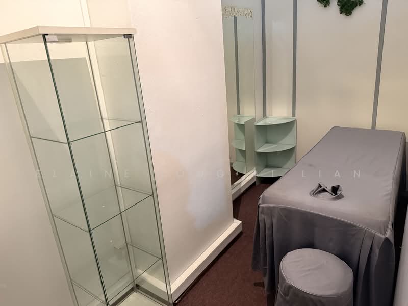 The Adelphi, 1 Coleman Street, City Hall / Clarke Quay, 200 sqft, Other Retail For Rent, by Elaine Hong Ai Lian, 500235492 - Interior - CommercialGuru.com.sg