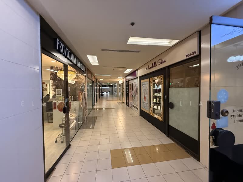 The Adelphi, 1 Coleman Street, City Hall / Clarke Quay, 200 sqft, Other Retail For Rent, by Elaine Hong Ai Lian, 500235492 - Corridor - CommercialGuru.com.sg
