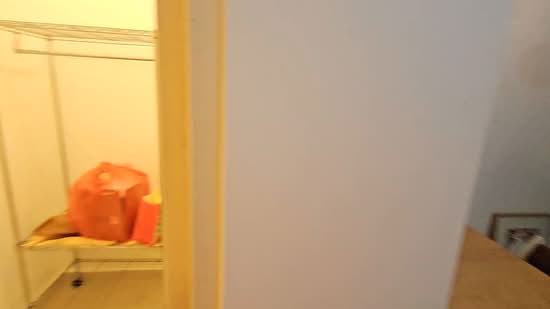 Parc Sophia, 8 Adis Road, 1 Bedroom, 550 sqft, Apartment For Rent, by Billy Chen, 500235772 - PropertyGuru.com.sg