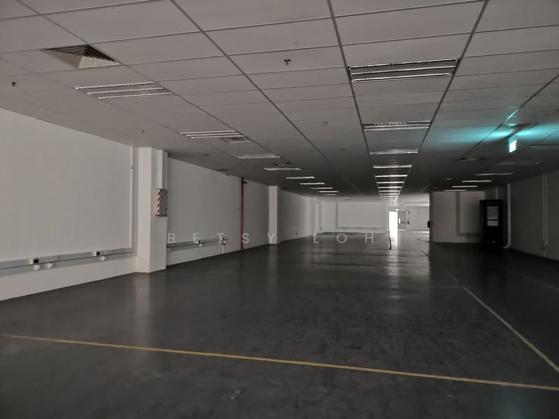 Industrial Space With High Electrical Power, , 52,000 sqft, Factory / Workshop (B2) For Rent, by Betsy Loh, 500235811 - Interior - CommercialGuru.com.sg