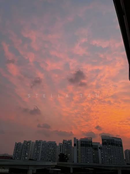 Rivercove Residences EC, 22 Anchorvale Ln, Hougang / Punggol / Sengkang, 3 Bedrooms, 1,109 sqft, Condominium For Sale, by Stella Tan, 500235843 - Exterior - PropertyGuru.com.sg