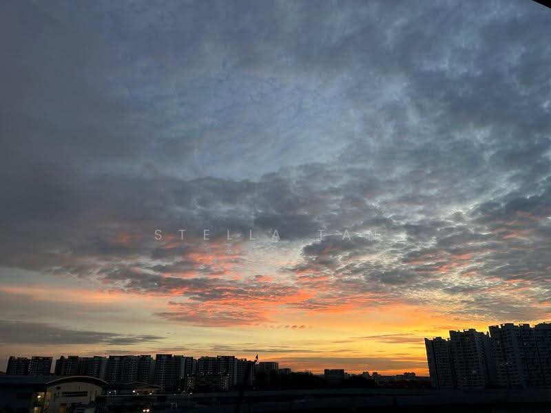 View from my balcony