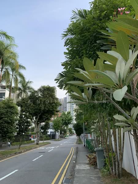 Landed house in Novena, Newton / Novena, 9 Bedrooms, 7,461 sqft, Semi-Detached House For Sale, by Angela Tan, 500236015 - Exterior - PropertyGuru.com.sg