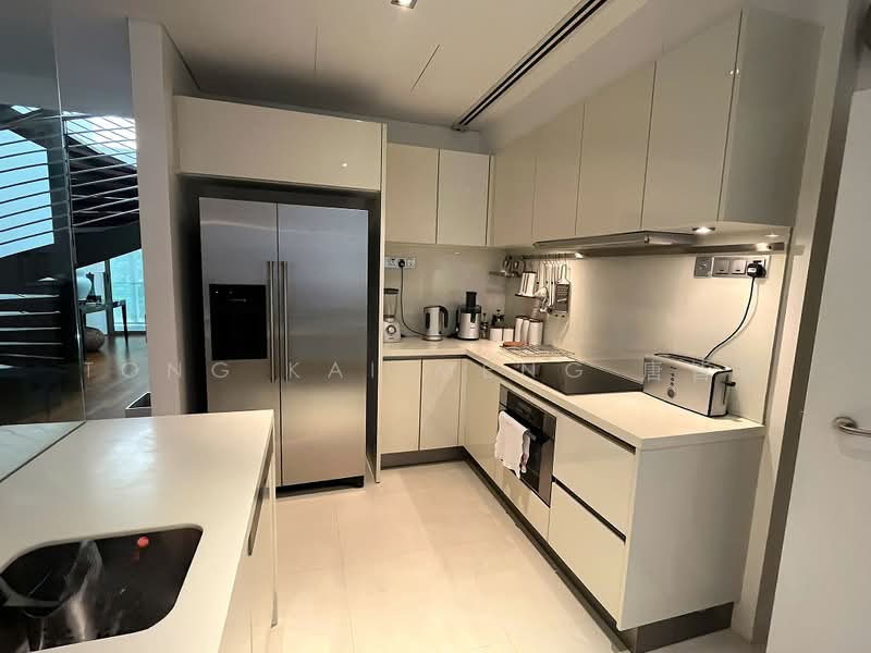 Botanika, 50 Holland Road, 4 Bedrooms, 2,605 sqft, Apartment For Rent, by Tong Kai Meng 唐皆明, 500236512 - Kitchen - PropertyGuru.com.sg