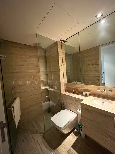 Botanika, 50 Holland Road, 4 Bedrooms, 2,605 sqft, Apartment For Rent, by Tong Kai Meng 唐皆明, 500236512 - Bathroom - PropertyGuru.com.sg