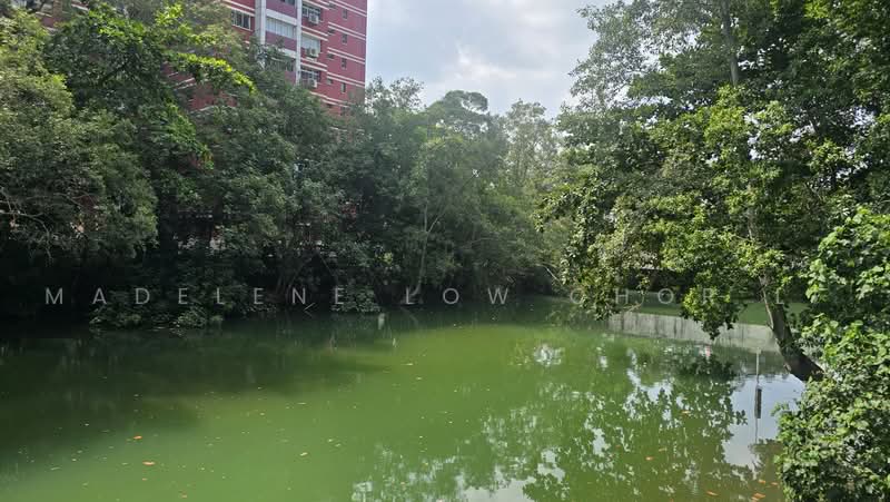 507 Pasir Ris Street 52, 507 Pasir Ris Street 52, 4 Bedrooms, 1,572 sqft, HDB Flat For Sale, by Madelene Low Chor Li, 500236668 - Exterior - PropertyGuru.com.sg