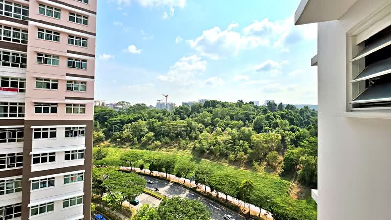 450B Bukit Batok West Avenue 6, 450B Bukit Batok West Avenue 6, 3 Bedrooms, 1,001 sqft, HDB Flat For Sale, by Jeffrey Ku, 500236759 - PropertyGuru.com.sg