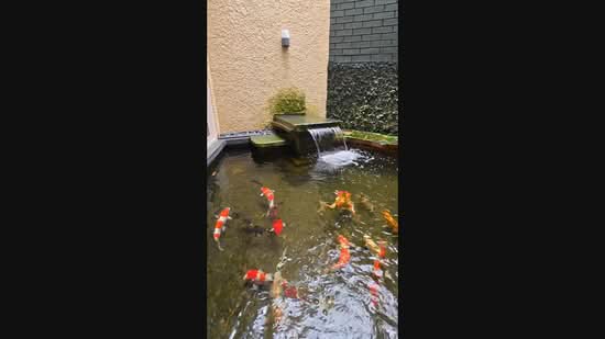 *WOW Sem D@ Serangoon Garden For Sales - Resort Style *, Crowhust Drive, Berwick Drive, Bloxhome Dr, Medway Dr, Hougang / Punggol / Sengkang, 5 Bedrooms, 5,000 sqft, Semi-Detached House For Sale, by Daniel Ho, 500236913 - PropertyGuru.com.sg