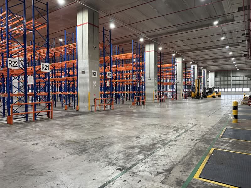 Corner | 8m Clear | 10 Bays | Optional Office @ Tuas, , 45,000 sqft, Warehouse For Rent, by Ryan Chau, 500237183 - Interior - CommercialGuru.com.sg