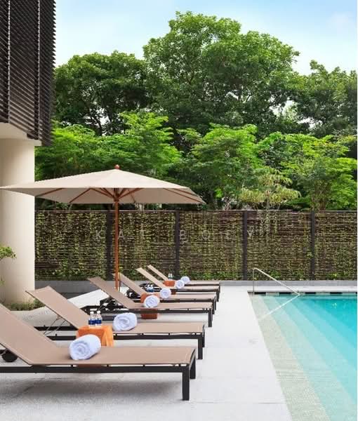 Hana, 8 Tomlinson Road, 5 Bedrooms, 3,531 sqft, Apartment For Rent, by Kat Boey, 500237961 - Pool - PropertyGuru.com.sg