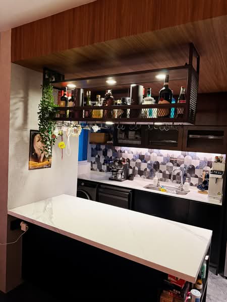 Citylights, 80 Jellicoe Road, 2 Bedrooms, 904 sqft, Condominium For Sale, by Deborah Lu 陆滢滢, 500238020 - Kitchen - PropertyGuru.com.sg