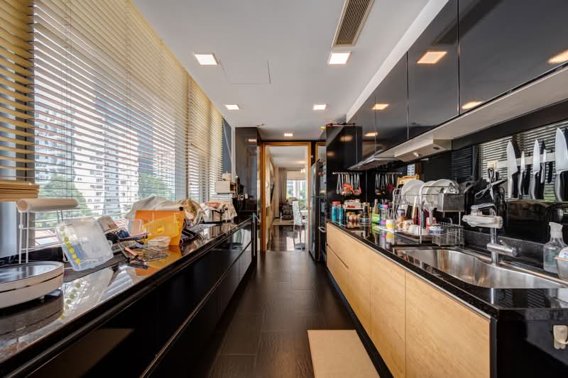 Helios Residences, 15 Cairnhill Circle, Orchard / River Valley, 3 Bedrooms, 1,701 sqft, Condominium For Sale, by Jeannie Lim, 500238101 - Kitchen - PropertyGuru.com.sg