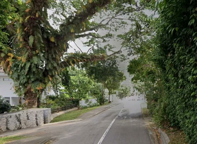 Exclusive GCBA Enclave. Dual Frontage. $2xxx psf. Convenient Locale, Tranquil Neighbourhood, BINJAI PARK, JALAN KAMPONG CHANTEK, SWISS CLUB ROAD, 4 Bedrooms, 7,990 sqft, Detached House For Sale, by Steve Tay, 500238364 - Exterior - PropertyGuru.com.sg