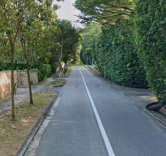 Exclusive GCBA Enclave. Dual Frontage. $2xxx psf. Convenient Locale, Tranquil Neighbourhood, BINJAI PARK, JALAN KAMPONG CHANTEK, SWISS CLUB ROAD, Newton / Novena, 4 Bedrooms, 7,990 sqft, Detached House For Sale, by Steve Tay, 500238364 - Exterior - PropertyGuru.com.sg