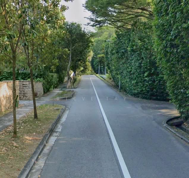 Exclusive GCBA Enclave. Dual Frontage. $2xxx psf. Convenient Locale, Tranquil Neighbourhood, BINJAI PARK, JALAN KAMPONG CHANTEK, SWISS CLUB ROAD, 4 Bedrooms, 7,990 sqft, Detached House For Sale, by Steve Tay, 500238364 - Exterior - PropertyGuru.com.sg