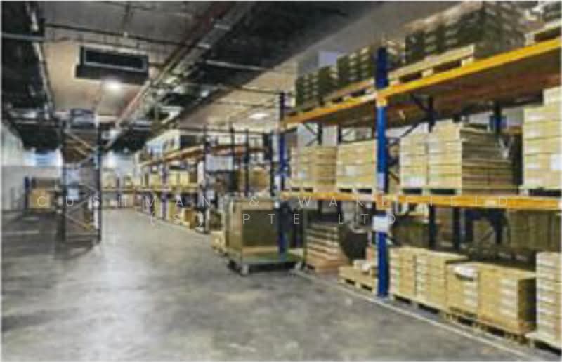 8 Pandan Crescent - Warehouse Space with Racking, 8 Pandan Crescent, Buona Vista / West Coast / Clementi New Town, 25,899 sqft, Factory / Workshop (B2) For Rent, by FELICIA TAN, 500238451 - Interior - CommercialGuru.com.sg