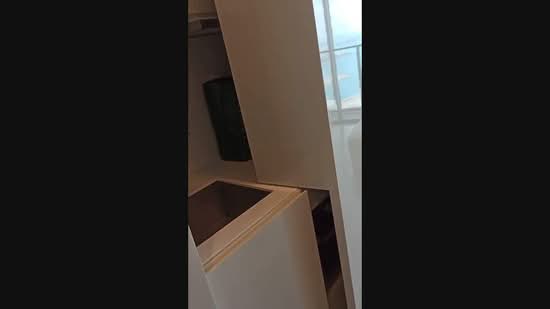 Skysuites @ Anson, 8 Enggor Street, 1 Bedroom, 398 sqft, Condominium For Sale, by Adrian Wee 黄國强, 500238532 - PropertyGuru.com.sg