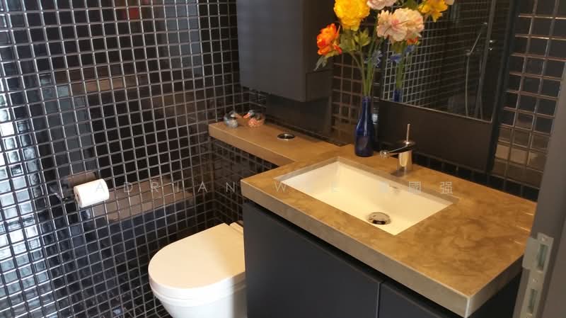 Skysuites @ Anson, 8 Enggor Street, 1 Bedroom, 398 sqft, Condominium For Sale, by Adrian Wee 黄國强, 500238532 - Bathroom - PropertyGuru.com.sg