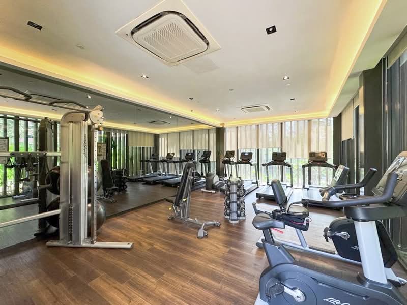 Thomson Impressions, 1 Lorong Puntong, 1 Bedroom, 462 sqft, Condominium For Rent, by Lester Ng, 500238534 - Gym - PropertyGuru.com.sg