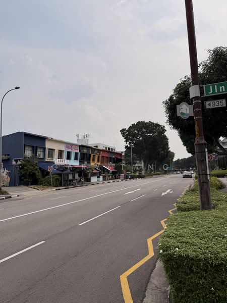Freehold Semi D @ Siglap, Third street, first street, second street, Siglap road, Ettrick Terrace, Elite Park Avenue, Lor Siglap, Siglap close, yarrow gardens, Frankel Avenue, East Coast / Marine Parade, 5 Bedrooms, 3,300 sqft, Semi-Detached House For Sale, by Gary Tang, 500238554 - PropertyGuru.com.sg