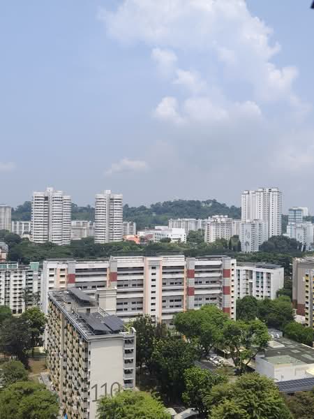 119B Kim Tian Road, 119B Kim Tian Road, 3 Bedrooms, 1,184 sqft, HDB Flat For Sale, by Manfred Ting, 500238681 - Exterior - PropertyGuru.com.sg