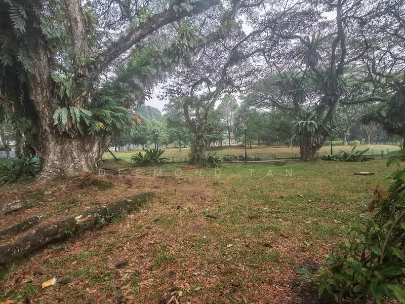 Cashew mrt/CHIJ/ST Joseph Church, Dairy Farm / Bukit Panjang / Choa Chu Kang, 5 Bedrooms, 4,500 sqft, Terraced House For Sale, by Desmond Tan, 500238849 - Exterior - PropertyGuru.com.sg