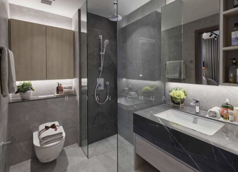 Orchard Sophia, 128 Sophia Road, Orchard / River Valley, 1 Bedroom, 463 sqft, Condominium For Rent, by Brian Chua, 500238974 - Bathroom - PropertyGuru.com.sg