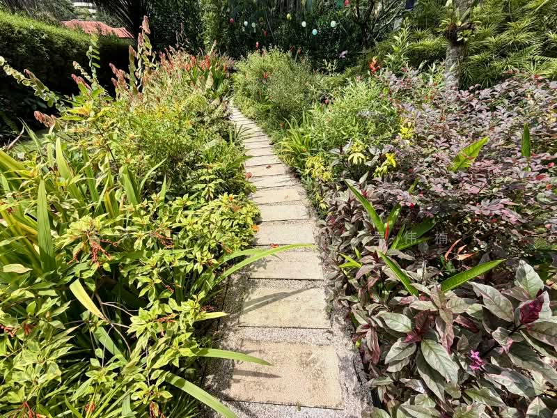 White House Park Estate Bungalow Exclusive w POOL • GARDEN, Goodwood Hill | White House Park Estate, 4 Bedrooms, 4,000 sqft, Bungalow House For Rent, by Martin Goh 吴伟楠, 500239114 - Garden - PropertyGuru.com.sg