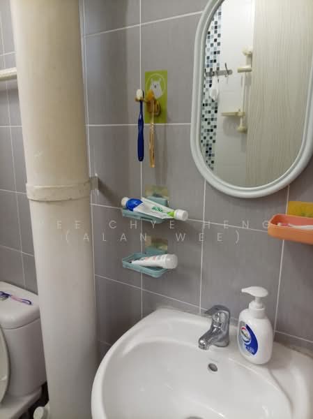 229 Bukit Batok East Avenue 3, 229 Bukit Batok East Avenue 3, Room Rental, 150 sqft, HDB Flat For Rent, by Wee Chye Heng (Alan Wee), 500239116 - Bathroom - PropertyGuru.com.sg