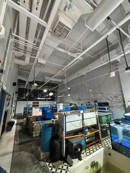 JTC Space @ Tampines North, 10 Tampines North Drive 4, Pasir Ris / Tampines, 2,000 sqft, Warehouse For Rent, by Jessica Liang, 500239432 - Interior - CommercialGuru.com.sg