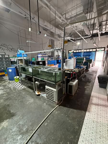 JTC Space @ Tampines North, 10 Tampines North Drive 4, Pasir Ris / Tampines, 2,000 sqft, Warehouse For Rent, by Jessica Liang, 500239432 - Interior - CommercialGuru.com.sg