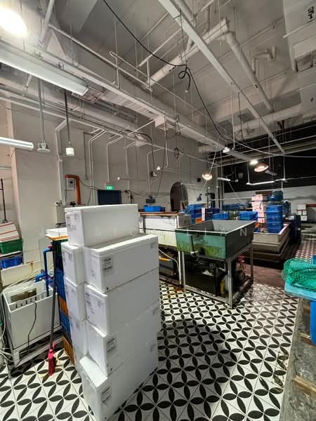 JTC Space @ Tampines North, 10 Tampines North Drive 4, Pasir Ris / Tampines, 2,000 sqft, Warehouse For Rent, by Jessica Liang, 500239432 - Interior - CommercialGuru.com.sg