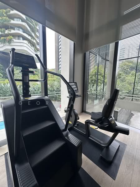 Hana, 8 Tomlinson Road, 4 Bedrooms, 3,531 sqft, Apartment For Rent, by Georgia Hong, 500239502 - Gym - PropertyGuru.com.sg