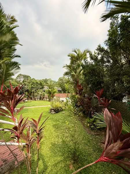Cluny Park, Cluny Park, 4 Bedrooms, 1,234 sqft, Detached House For Sale, by Ira Mehra, 500239672 - Garden - PropertyGuru.com.sg