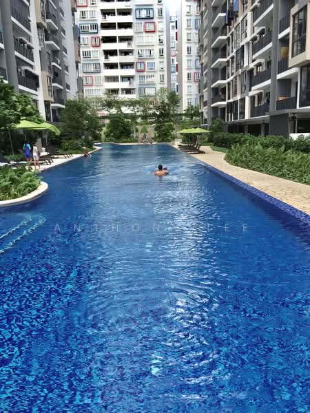 The Rainforest, 333 Choa Chu Kang Avenue 3, 2 Bedrooms, 900 sqft, Executive Condominium For Rent, by Anthony Lee, 500239894 - Exterior - PropertyGuru.com.sg