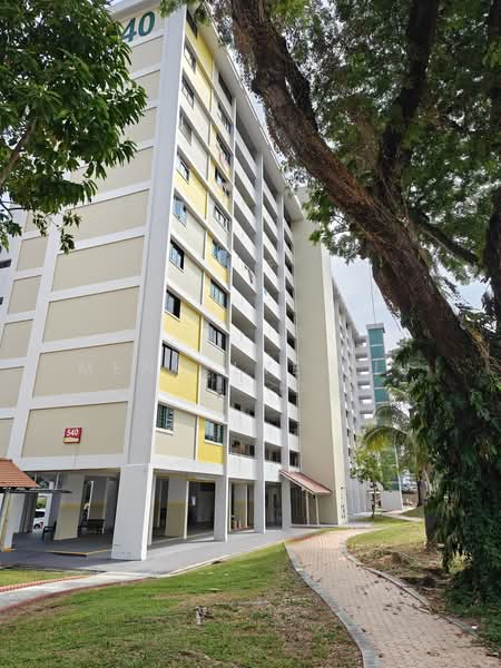 540 Bedok North Street 3, 540 Bedok North Street 3, 2 Bedrooms, 732 sqft, HDB Flat For Sale, by Meng Lye Liu, 500240024 - Exterior - PropertyGuru.com.sg