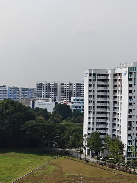 540 Bedok North Street 3, 540 Bedok North Street 3, 2 Bedrooms, 732 sqft, HDB Flat For Sale, by Meng Lye Liu, 500240024 - Exterior - PropertyGuru.com.sg