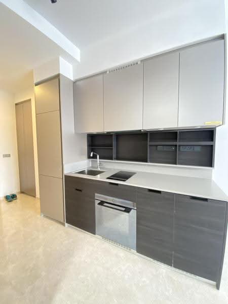 Haus On Handy, 28 Handy Road, Orchard / River Valley, 1 Bedroom, 463 sqft, Condominium For Rent, by Joe Wong, 500240167 - Kitchen - PropertyGuru.com.sg