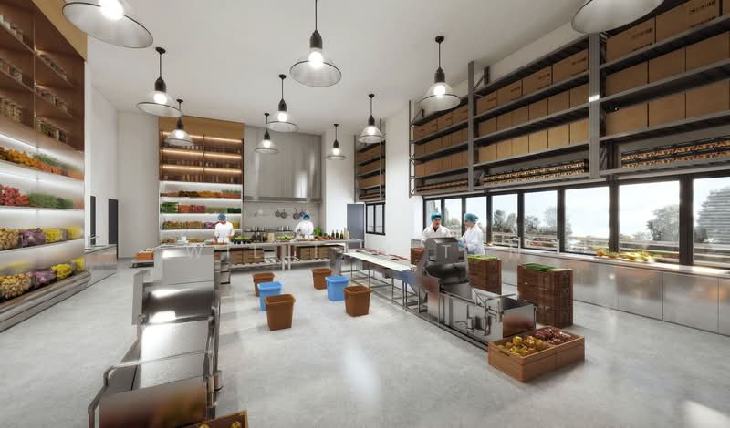Food Vision @ Mandai, 21 Mandai Estate, 1,722 sqft, Factory / Workshop (B2) For Rent, by William Tan, 500240223 - Kitchen - CommercialGuru.com.sg