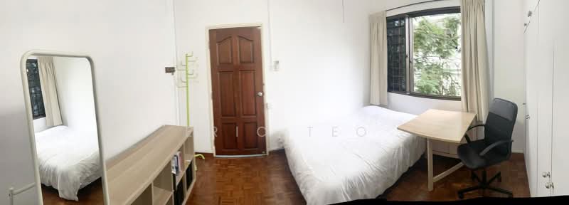 429669, Ceylon Road, Room Rental, 150 sqft, Walk-up Apartment For Rent, by Eric Teo, 500240285 - Bedroom - PropertyGuru.com.sg