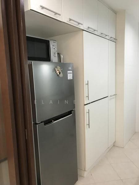 Robertson 100, 100 Robertson Quay, Orchard / River Valley, 1 Bedroom, 678 sqft, Condominium For Rent, by Elaine Ng, 500240734 - Kitchen - PropertyGuru.com.sg