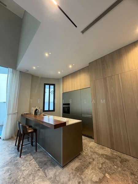 Jervois road, Jervois Road Tanglin Road River valley Road Chatsworth Road Bishopsgate Road, Orchard / River Valley, 4 Bedrooms, 4,833 sqft, Semi-Detached House For Sale, by Terrie Lam, 500240807 - Kitchen - PropertyGuru.com.sg
