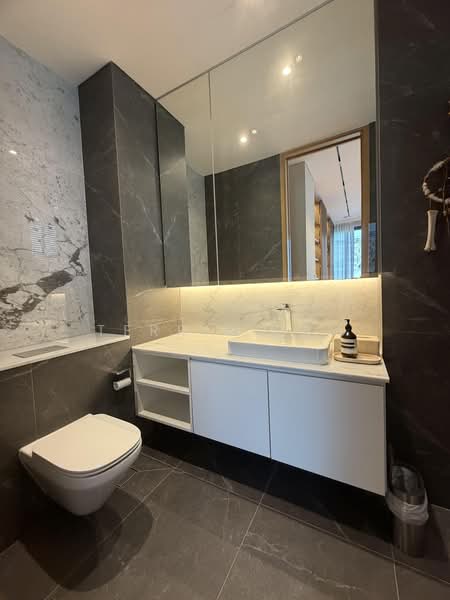 Jervois Road Tanglin Road River valley Road Chatsworth Road Bishopsgate Road, Jervois Road Tanglin Road River valley Road Chatsworth Road Bishopsgate Road, 4 Bedrooms, 4,833 sqft, Semi-Detached House For Sale, by Terrie Lam, 500240807 - Bathroom - PropertyGuru.com.sg