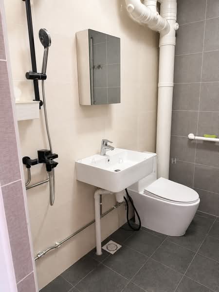 948 Jurong West Street 91, 948 Jurong West Street 91, Boon Lay / Jurong / Tuas, Room Rental, 100 sqft, HDB Flat For Rent, by Leonard Soh, 500240875 - Bathroom - PropertyGuru.com.sg