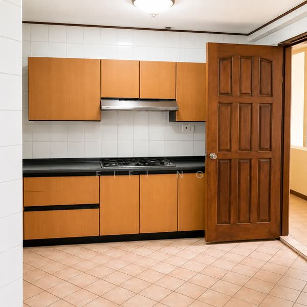 Spring Grove, 53 Grange Road, 4 Bedrooms, 1,668 sqft, Condominium For Sale, by FiFi Ng, 500241176 - Kitchen - PropertyGuru.com.sg