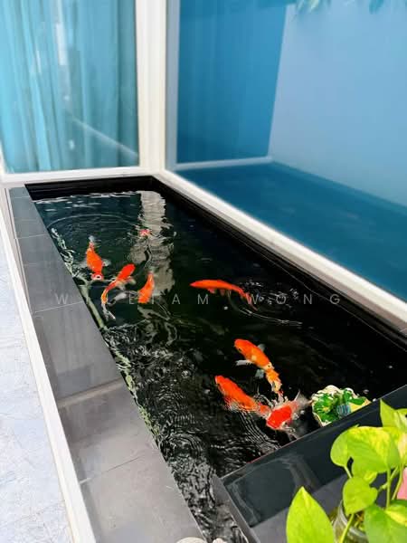 Wak Hassan Drive, Semi - detached house for sale, Wak Hassan drive, Sembawang / Yishun, 5 Bedrooms, 5,732 sqft, Semi-Detached House For Sale, by William Wong, 500241180 - Koi pond - PropertyGuru.com.sg