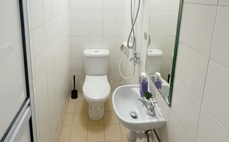 Amaninda, 329 Thomson Road, Room Rental, 100 sqft, Condominium For Rent, by Angeline Tan (陈慧恩), 500241396 - Common Bathroom 2 - PropertyGuru.com.sg
