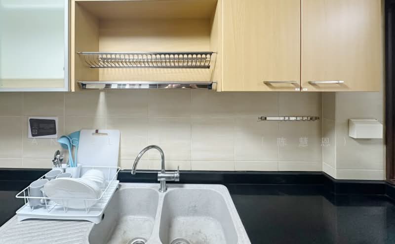 Amaninda, 329 Thomson Road, Room Rental, 150 sqft, Condominium For Rent, by Angeline Tan (陈慧恩）, 500241409 - Kitchen - PropertyGuru.com.sg