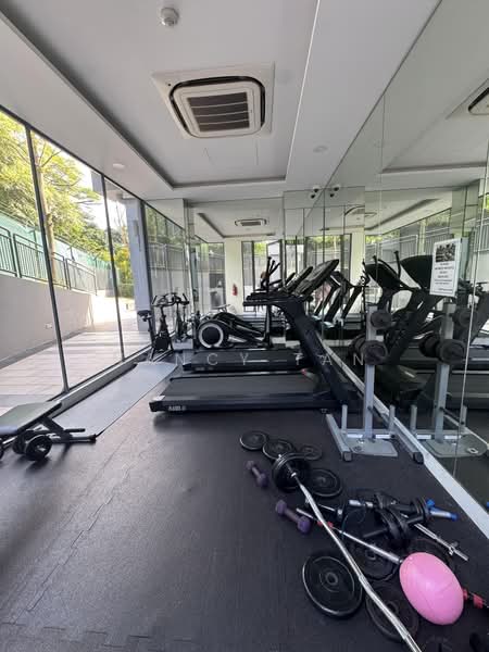 The MKZ, 131 Mackenzie Road, Orchard / River Valley, 3 Bedrooms, 732 sqft, Apartment For Sale, by Nancy Tan, 500241501 - Gym - PropertyGuru.com.sg