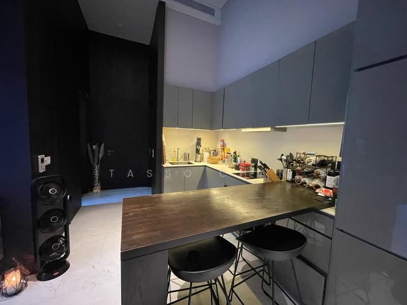 Robin Residences, 5 Robin Drive, 1 Bedroom, 850 sqft, Condominium For Rent, by Tasso Chan, 500241901 - Kitchen - PropertyGuru.com.sg